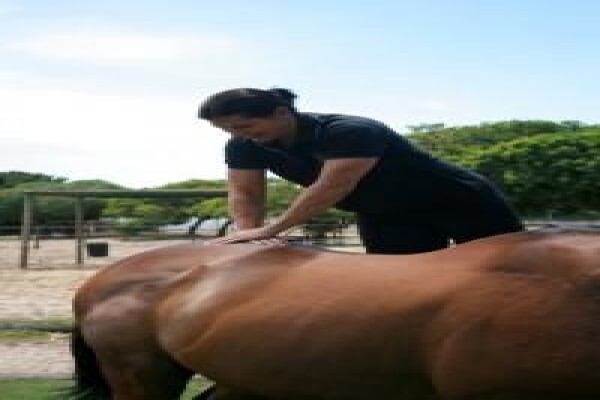 Animal Chiropractor