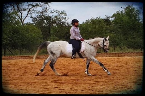 Countryside Equestrian Centre