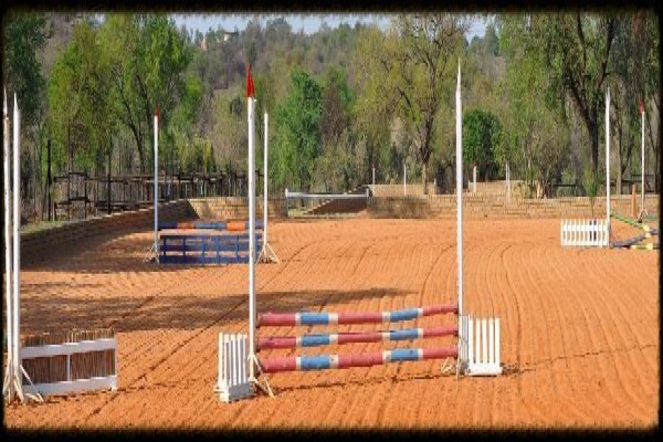Countryside Equestrian Centre