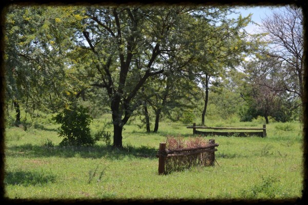 Countryside Equestrian Centre