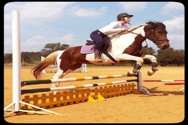 Countryside Equestrian Centre