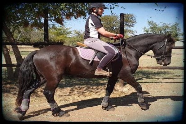 Countryside Equestrian Centre