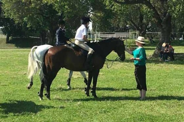 Phaeton Park