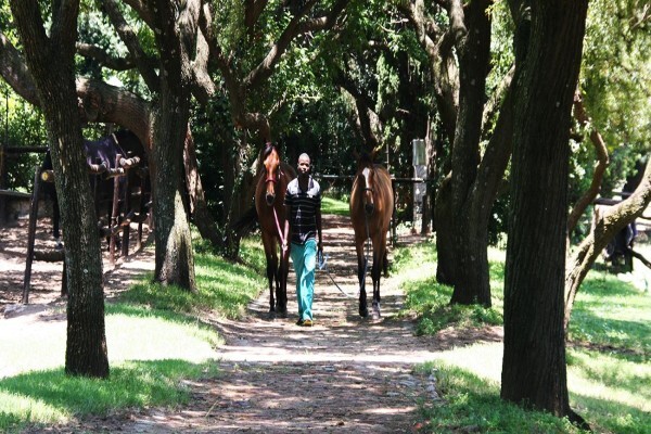 Phaeton Park