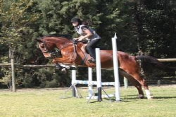 Silva Pegasus Riding Centre