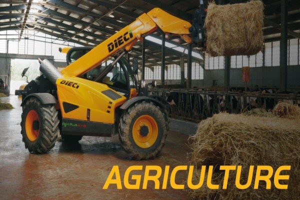 Dieci