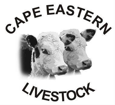 Cape Eastern Livestock