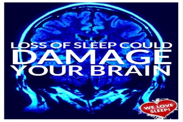 The Bed King Tokai