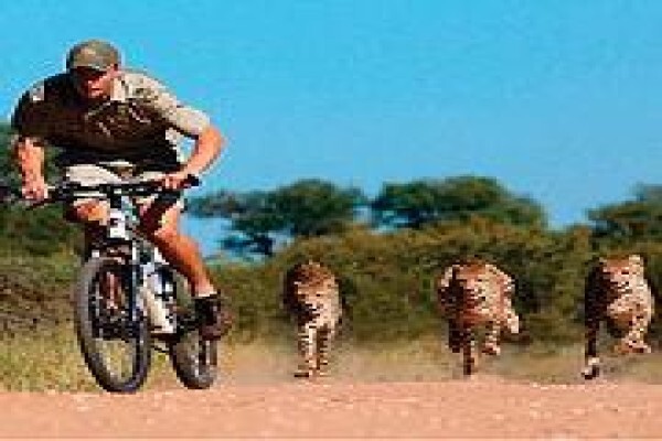 Tshukudu Game Lodge