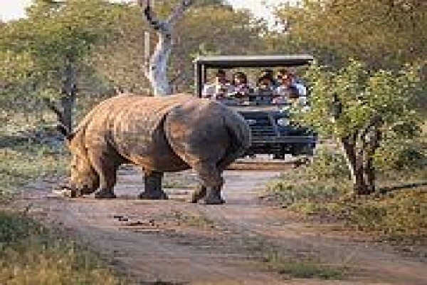 Tshukudu Game Lodge