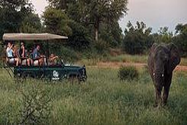 Tshukudu Game Lodge