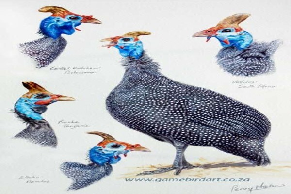 Game Bird Art
