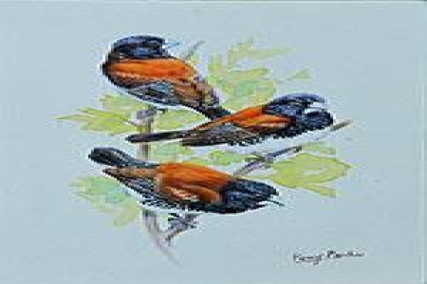 Game Bird Art