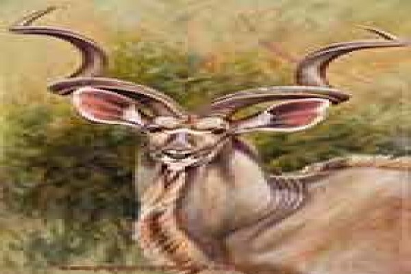 Game Bird Art