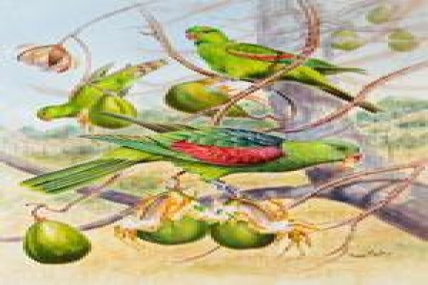 Game Bird Art