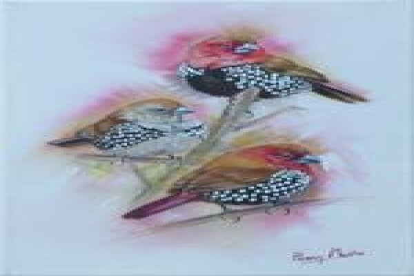 Game Bird Art