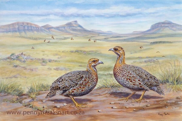 Game Bird Art