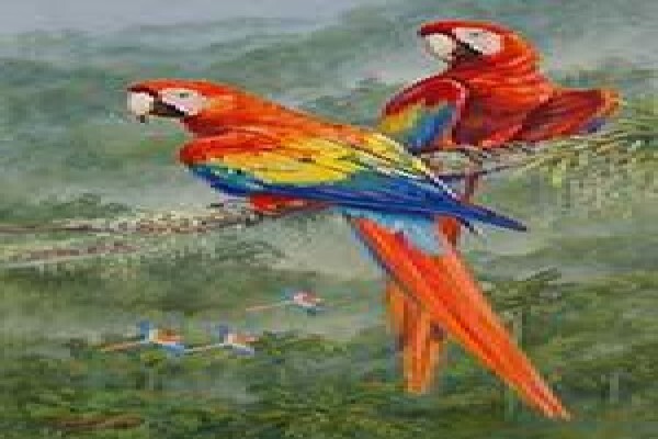Game Bird Art
