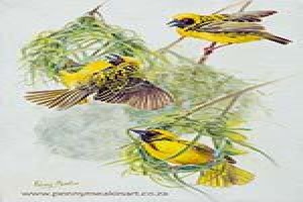 Game Bird Art