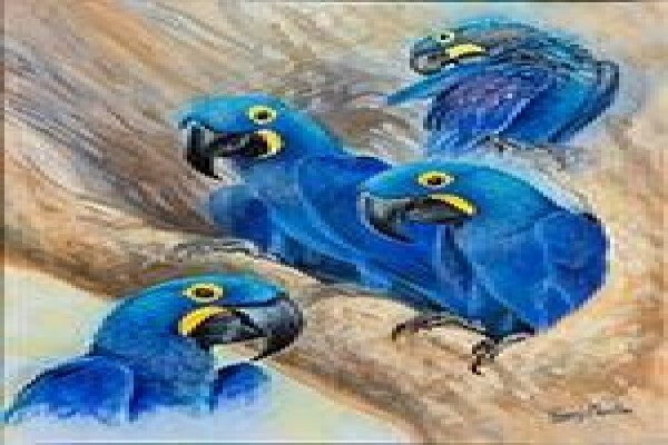 Game Bird Art