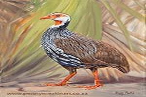 Game Bird Art