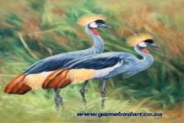 Game Bird Art