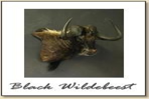 Hunters And Collectors