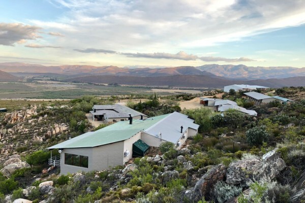 Klipbokkop