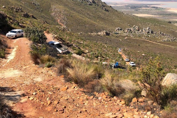 Klipbokkop