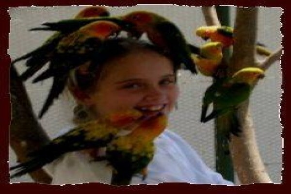 Petbird