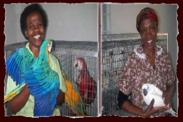 Petbird