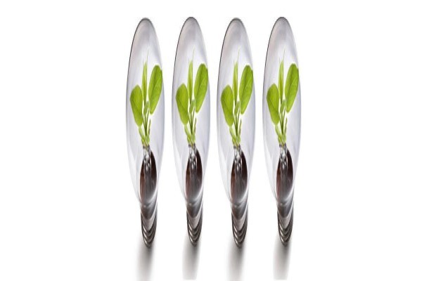 Enav8 Field Marketing Services