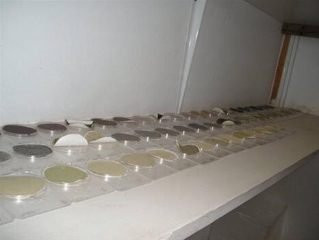 Dust Monitoring Equipment And Training
