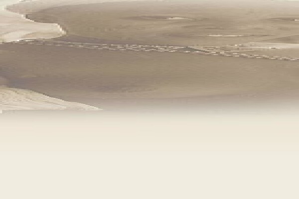 Eagle Africa Tours
