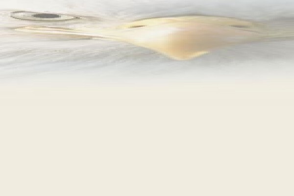 Eagle Africa Tours