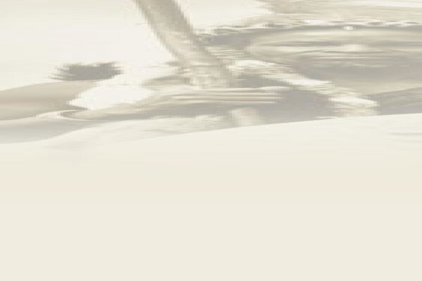 Eagle Africa Tours