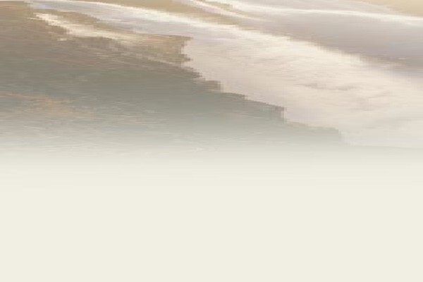 Eagle Africa Tours