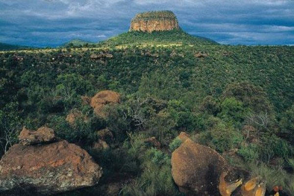 Eagle Africa Tours