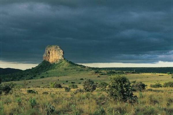 Eagle Africa Tours
