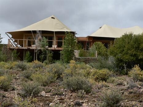 Earthquest Management Consultants