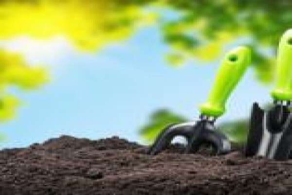 Earthworm