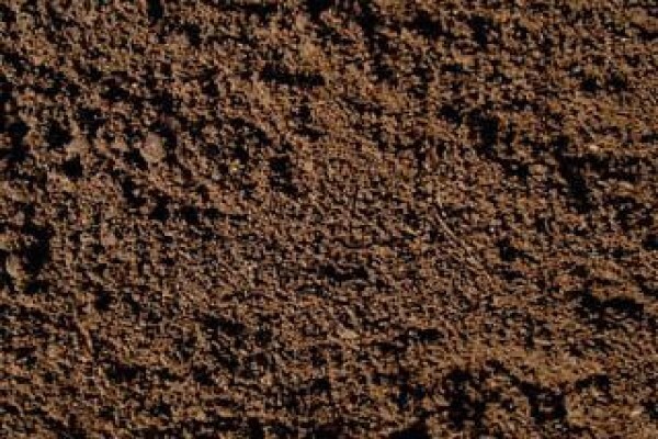 Earthworm