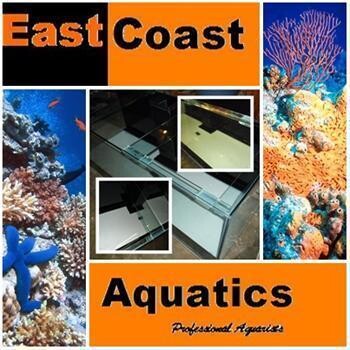 East Coast Aquatics - Professional Aquarists