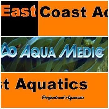 East Coast Aquatics - Professional Aquarists