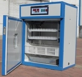 Easyhatch Incubation Equipment Co.