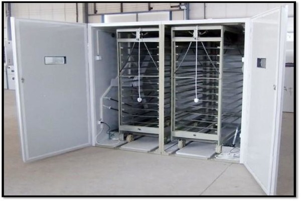 Easyhatch Incubation Equipment Co.