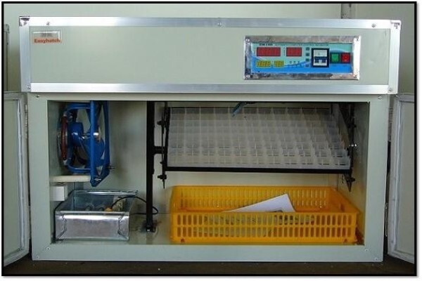 Easyhatch Incubation Equipment Co.