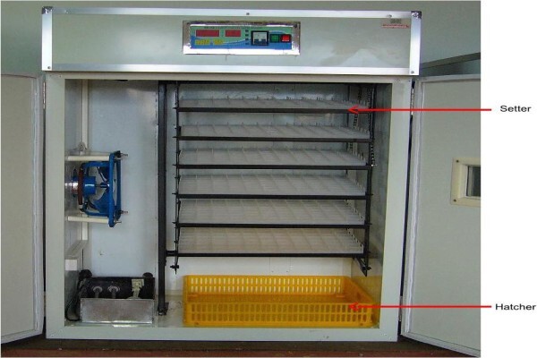 Easyhatch Incubation Equipment Co.