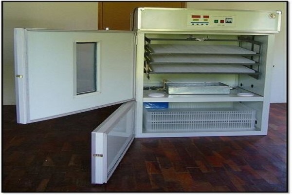 Easyhatch Incubation Equipment Co.