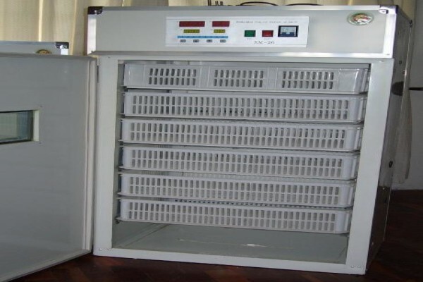 Easyhatch Incubation Equipment Co.